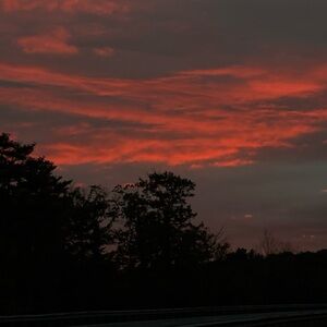 Meet your Posher, Alondra